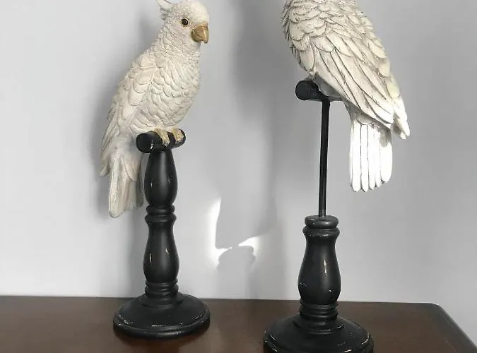 Apartment Juan Flore: Calme Absolu A 100m De La