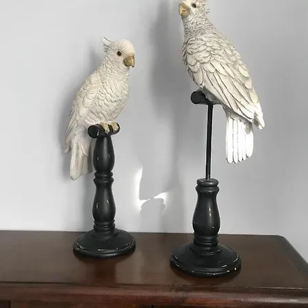 Apartment Juan Flore: Calme Absolu A 100m De La