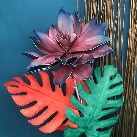 Juan Flore: Calme Absolu A 100m De La