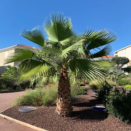 Lägenhet Juan Flore: Calme Absolu A 100m De La