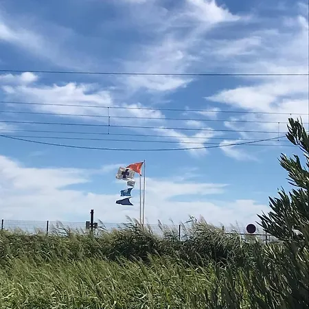 Juan Flore: Calme Absolu A 100m De La *