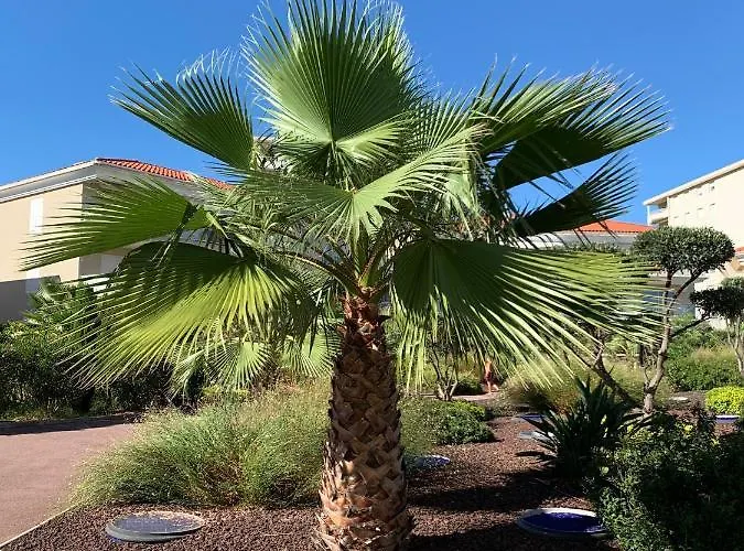 Apartment Juan Flore: Calme Absolu A 100m De La