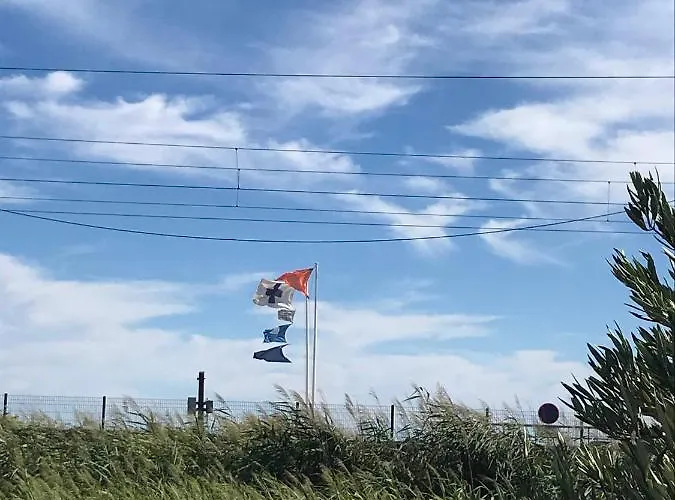 Juan Flore: Calme Absolu A 100m De La *